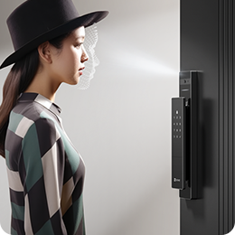 Smart WiFi Door Smart Lock
